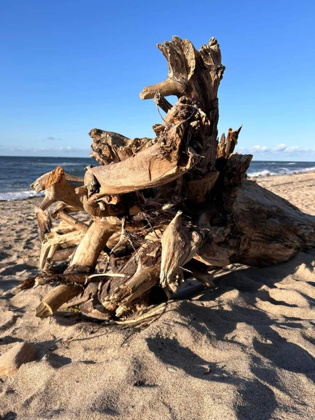 Fewo Unter Der Kuehlung Bastorf Exterior foto