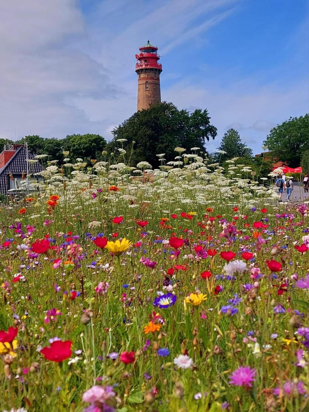 Fewo Unter Der Kuehlung Bastorf Exterior foto